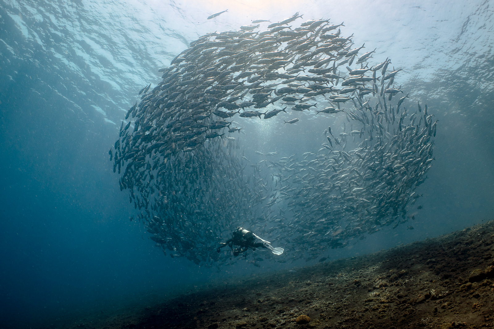 Tulamben, Northeast Bali, Indonesia