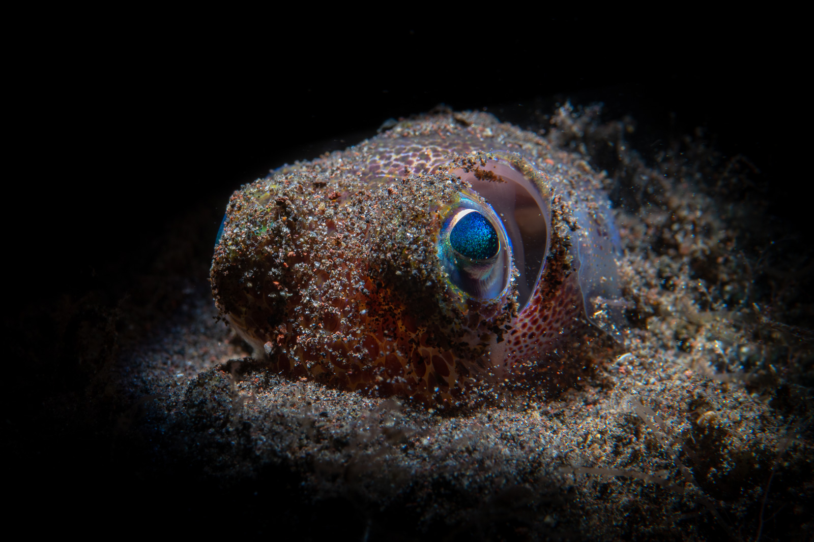 Tulamben