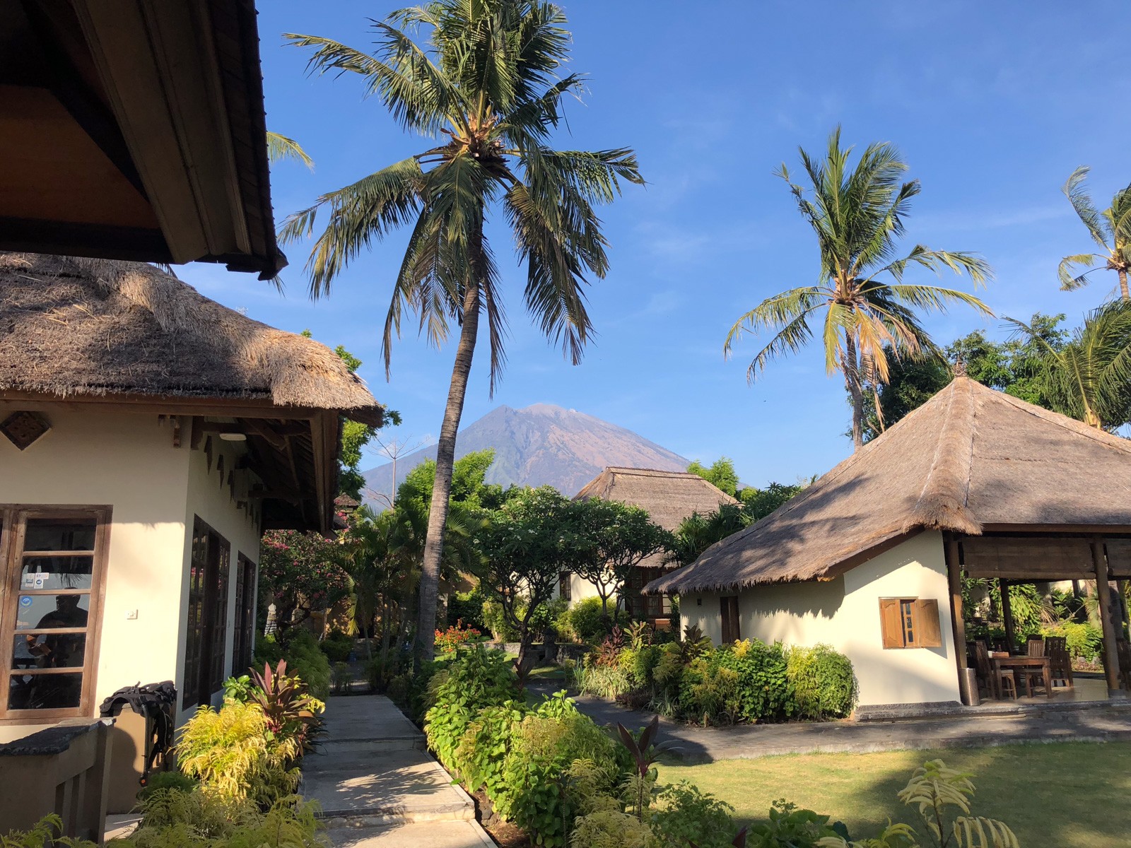 Thatched bungalows among coconut palms, a volcano rising behind them