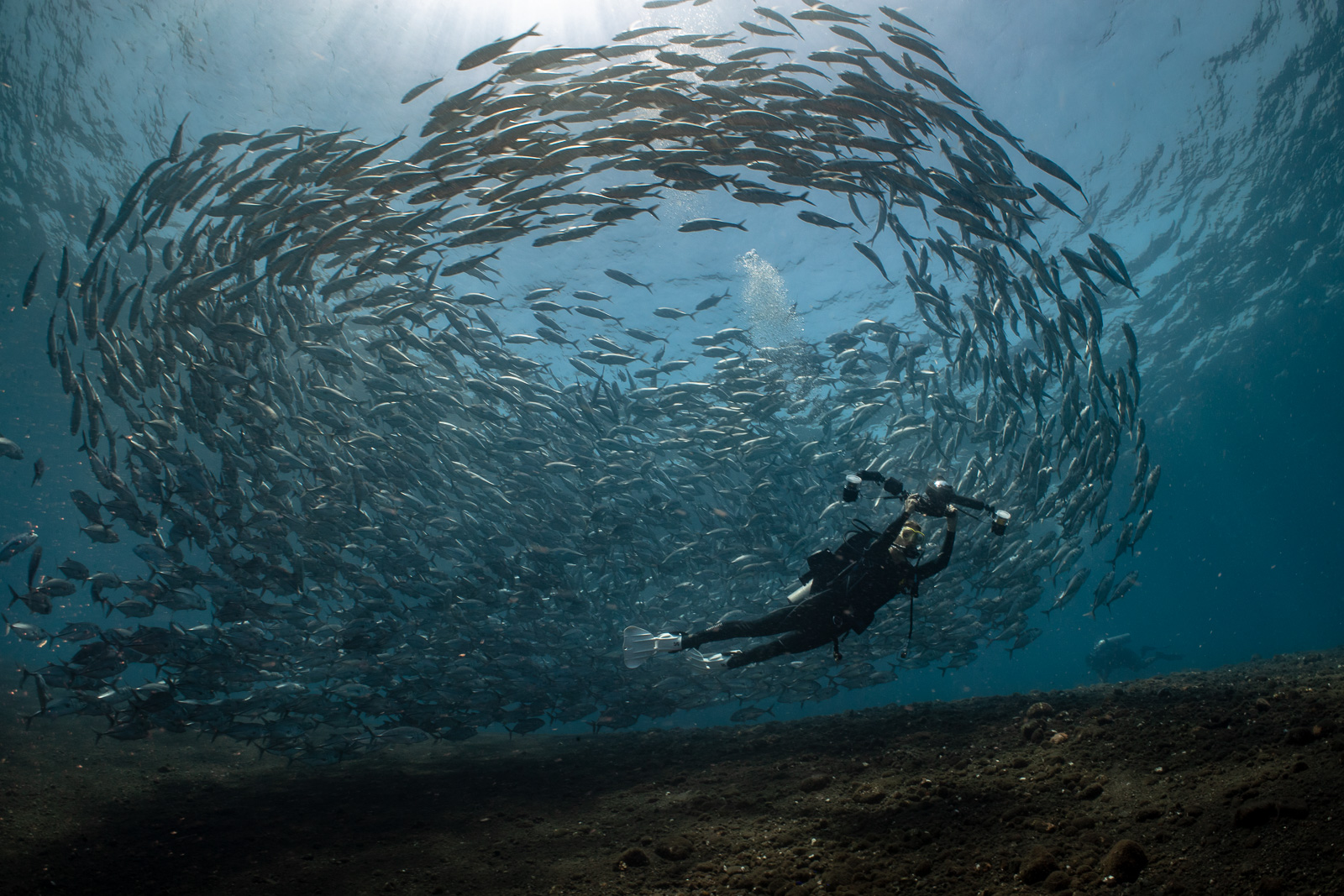 Jack tornado diver, Tulamben