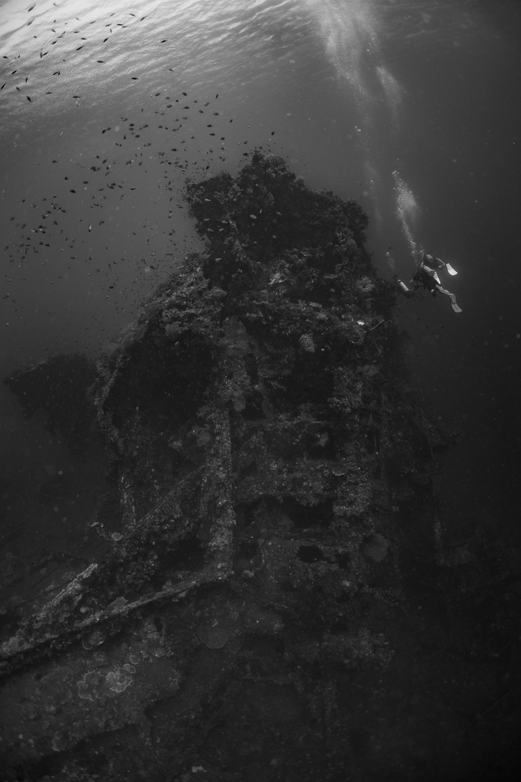 Black-and-white wreck with a diver, Tulamben