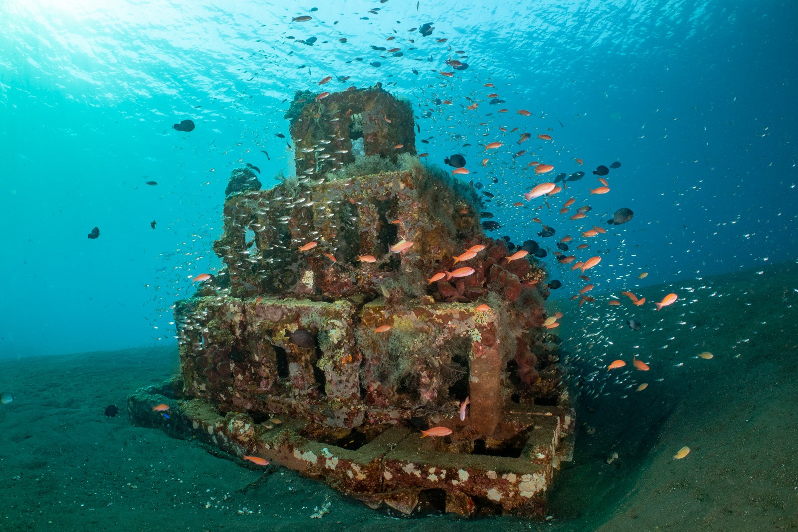 Temple structure with anthias, Tulamben