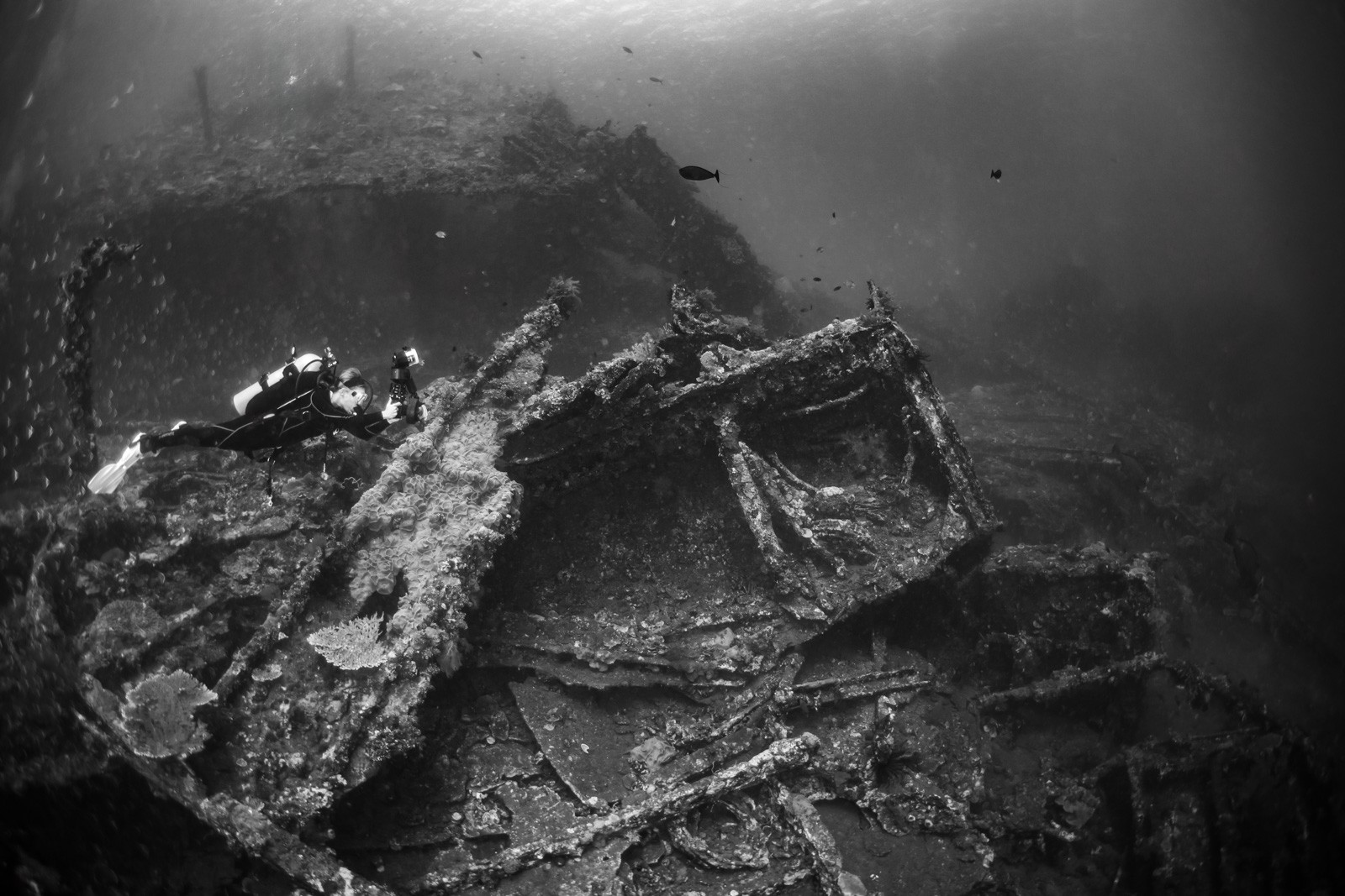 USAT Liberty with diver, black and white, Tulamben