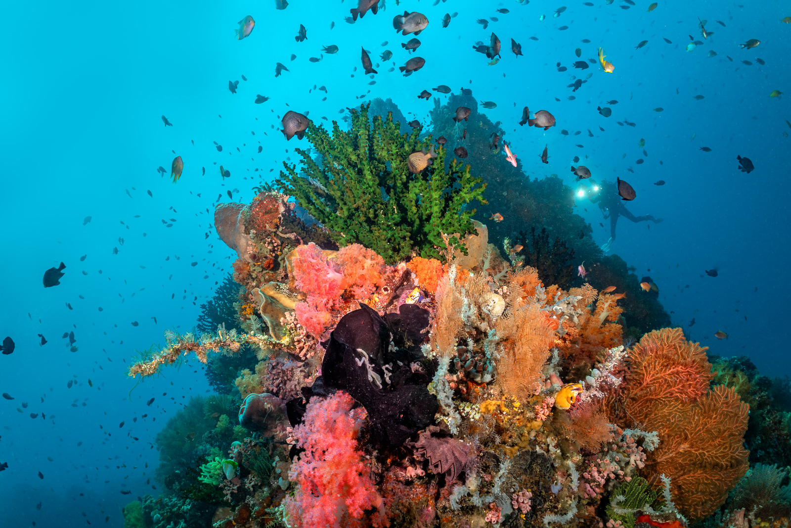 Bangka Archipelago