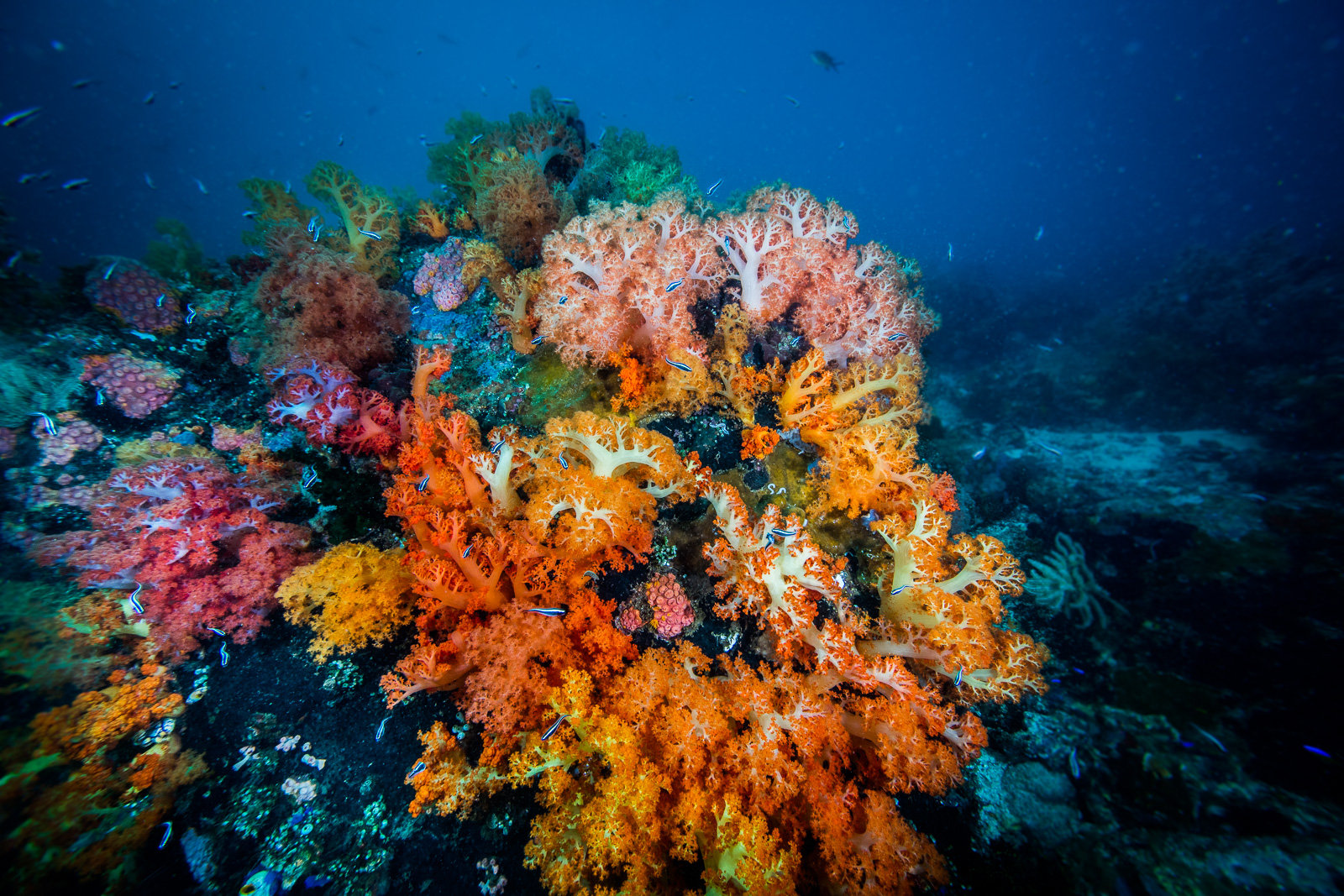 Bangka Archipelago