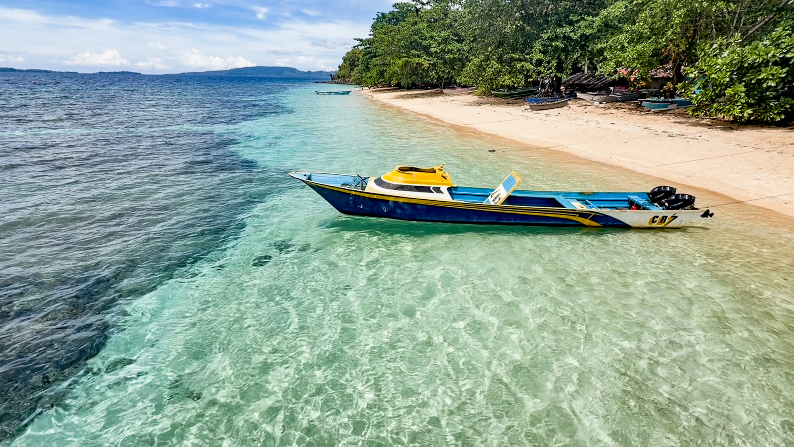 A longboat moored in clear shallows off the sand, the treeline close behind it.