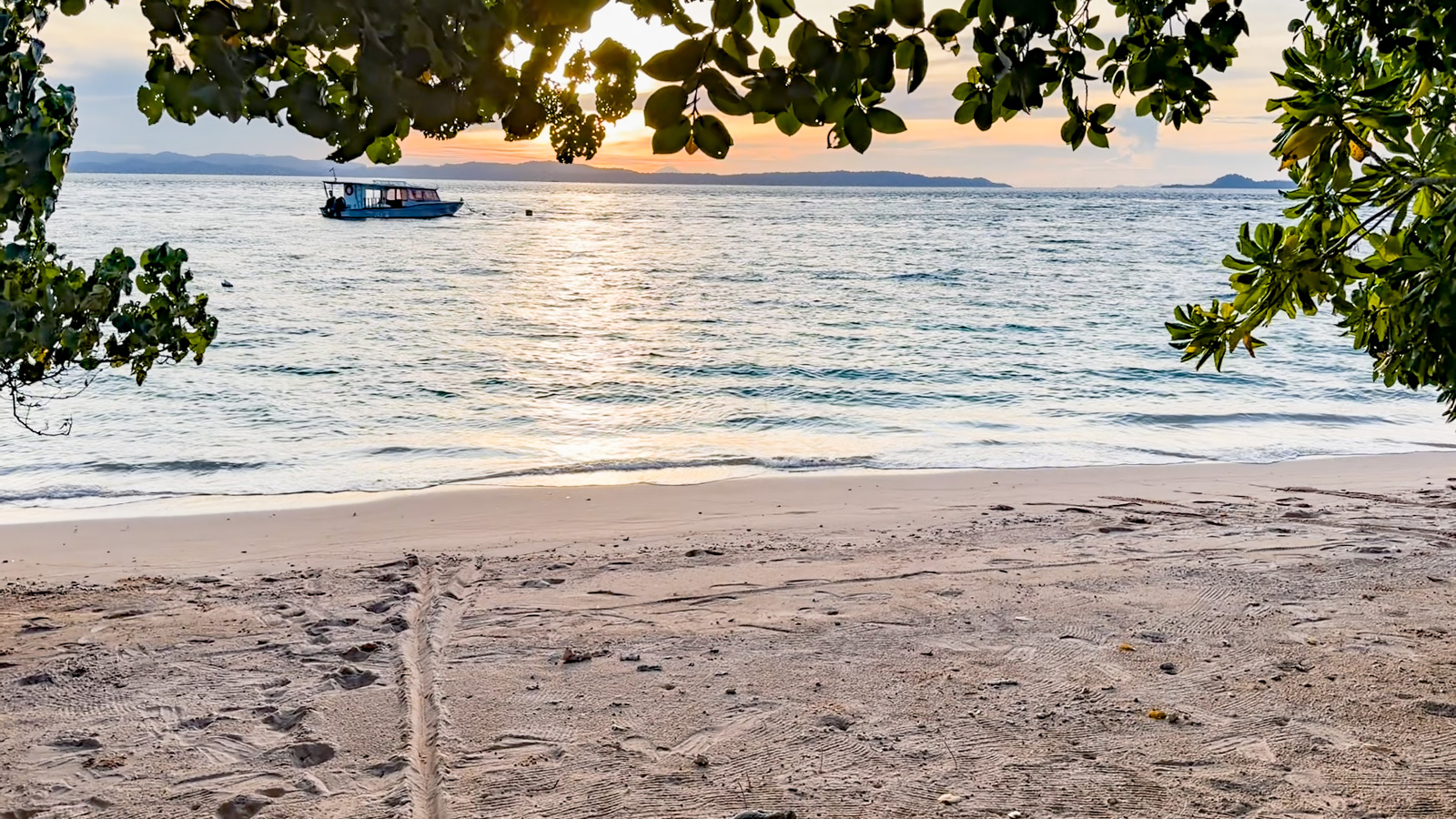 Dusk on the beach, a boat lying offshore, the view framed by overhanging branches.