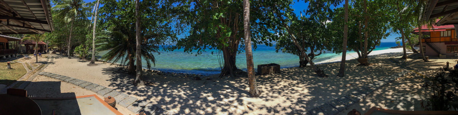 The path along the front of the resort, the beach and the shallows open through the palms.