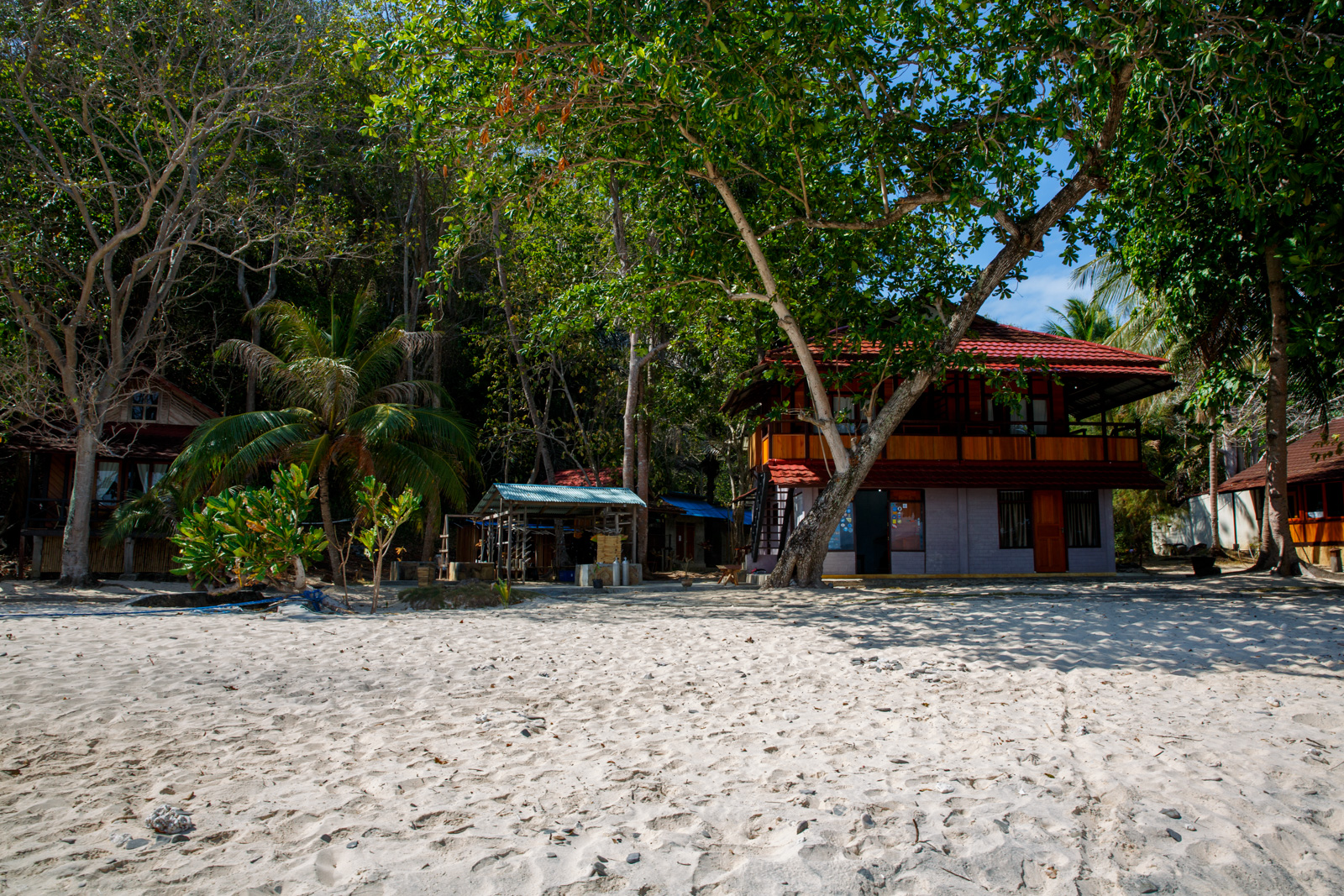 The main building seen from the beach, two storeys of dark timber set back under the trees.