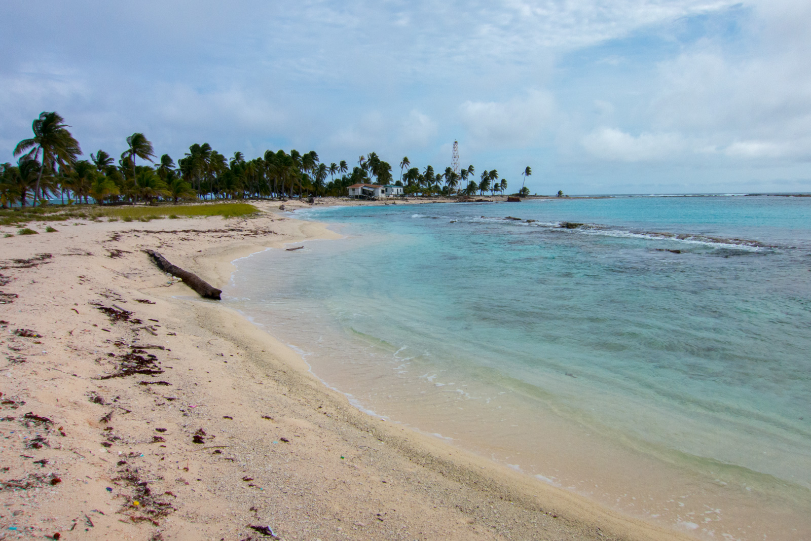 The beach curving away under the palms, the shallows running out pale green to the reef line.