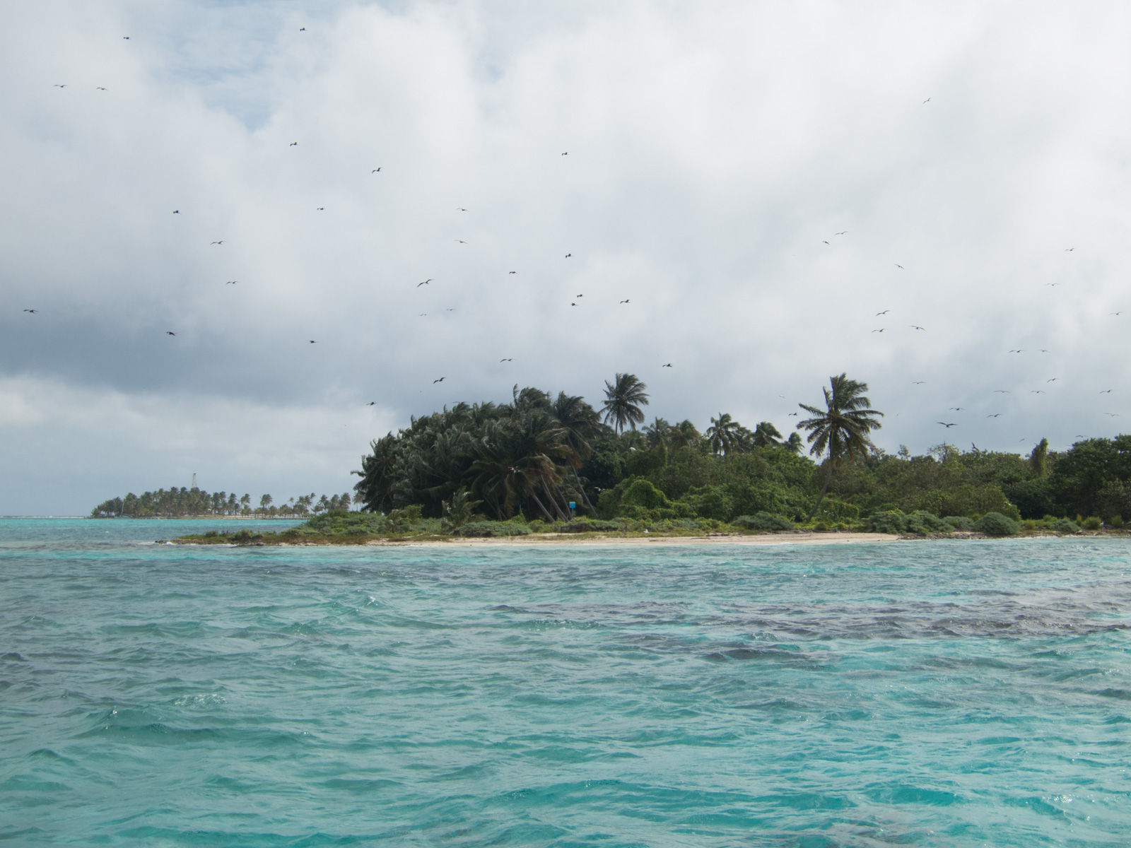 A low wooded caye seen from the water, birds working the sky above it and surf breaking on the flat in front.