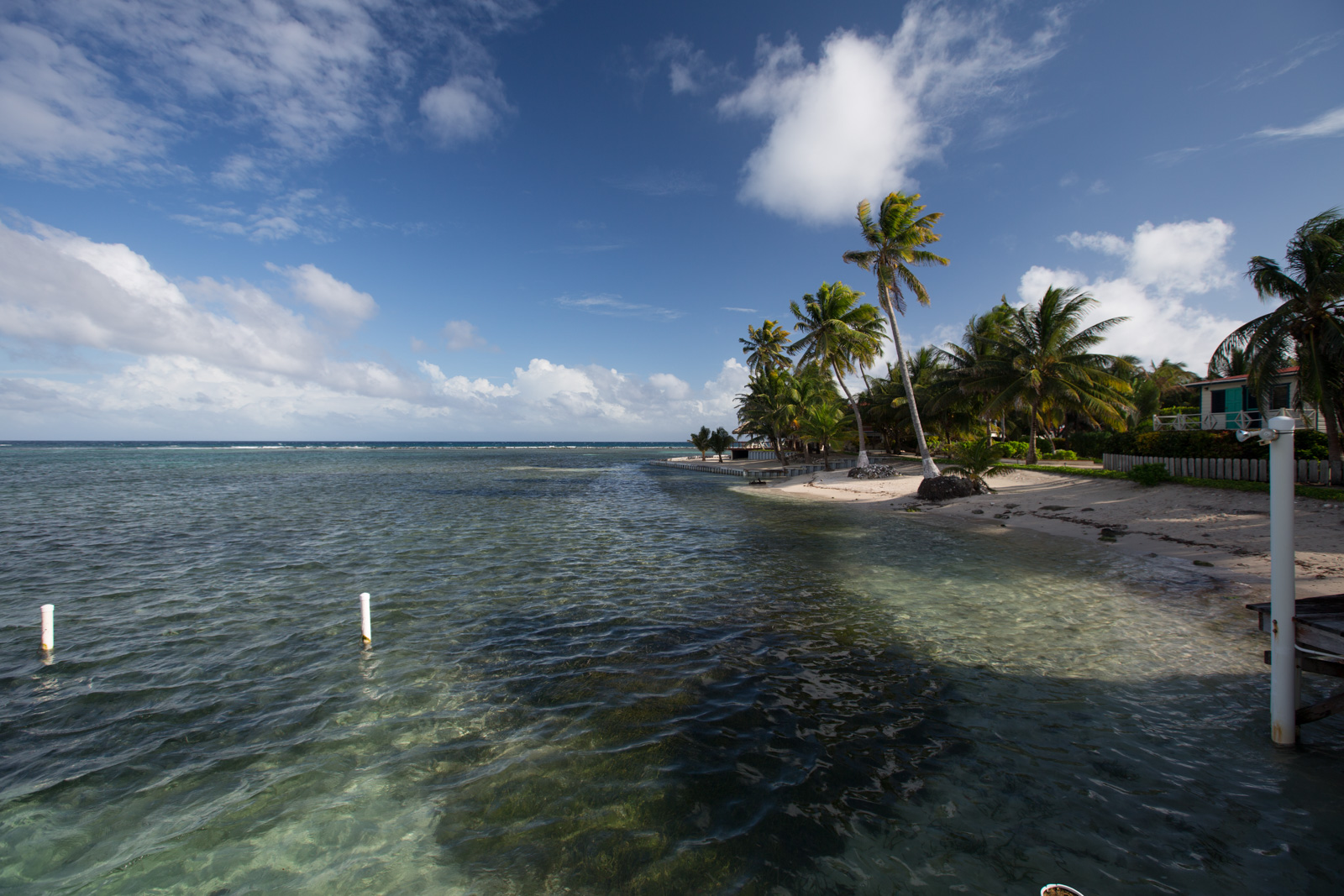 The point of the caye from the water, palms and cabanas along it and the shallows clear over turtle grass.
