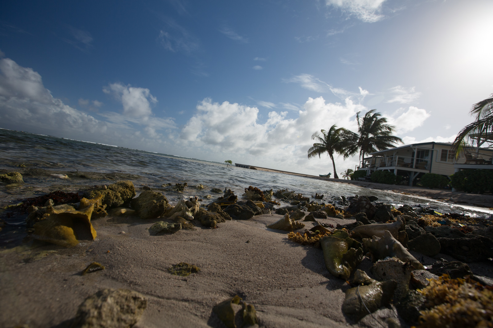 Old coral rubble along the shoreline at low water, the lodge buildings set back under the palms.