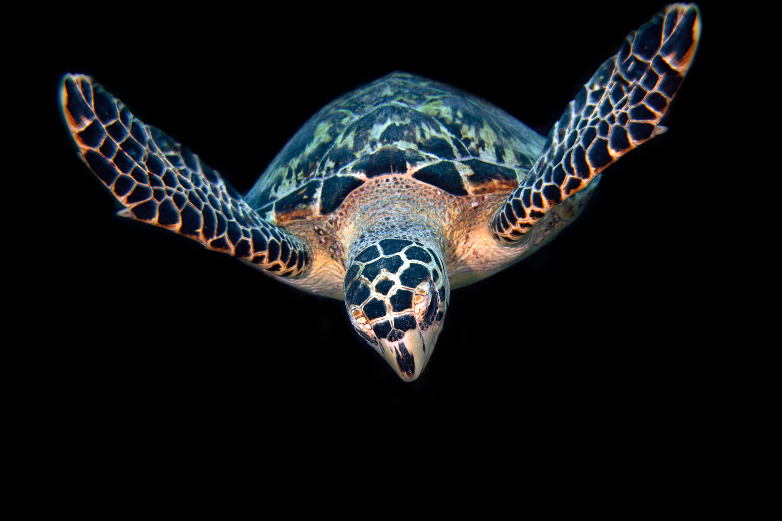 Bonaire