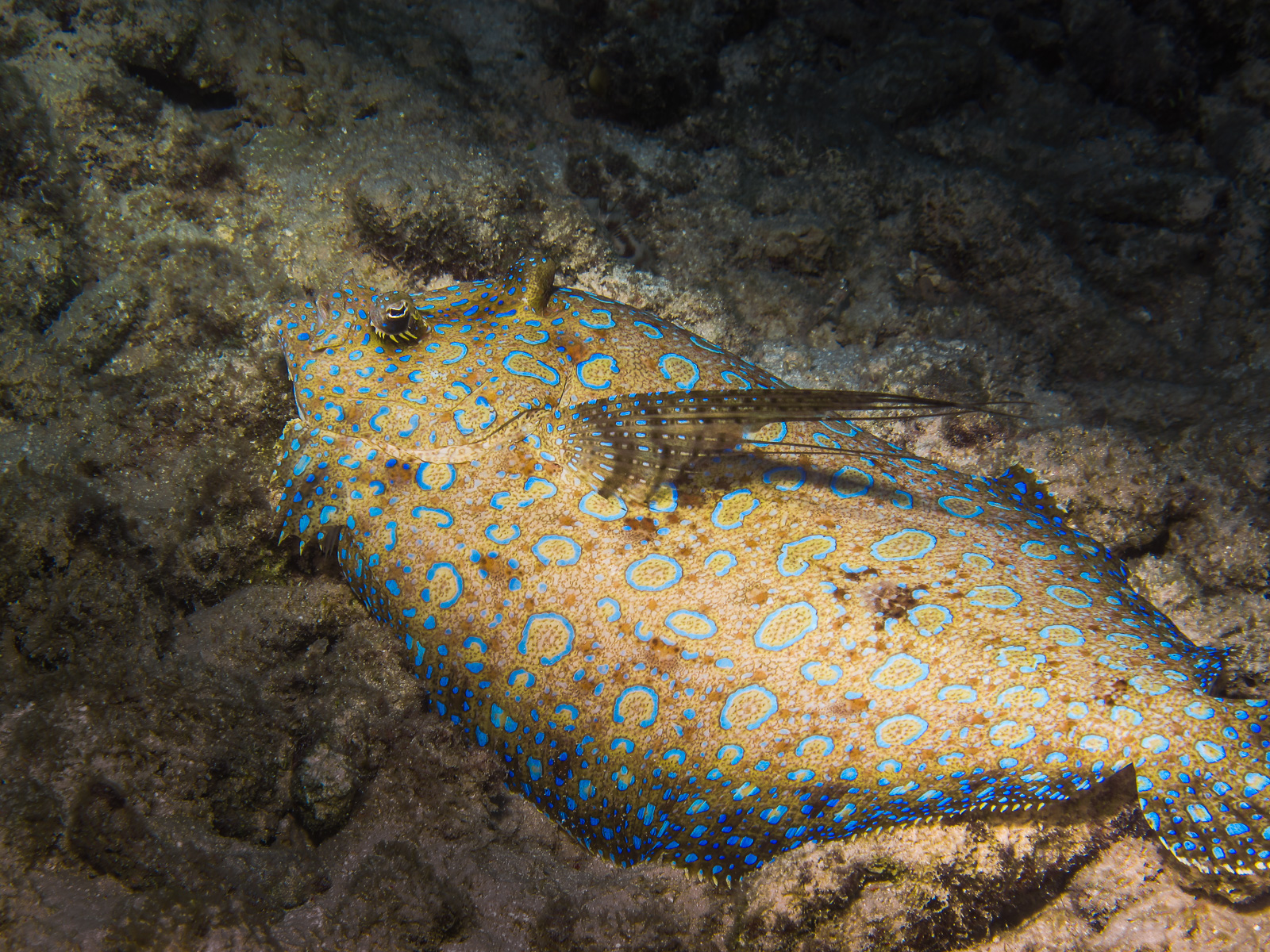 Bonaire