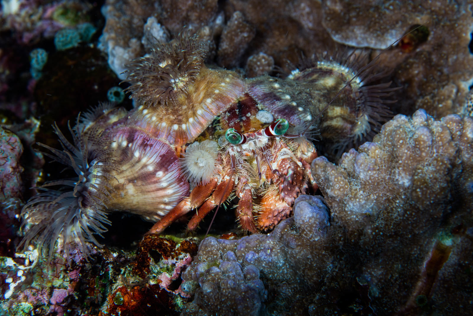 Bunaken, North Sulawesi, Indonesia
