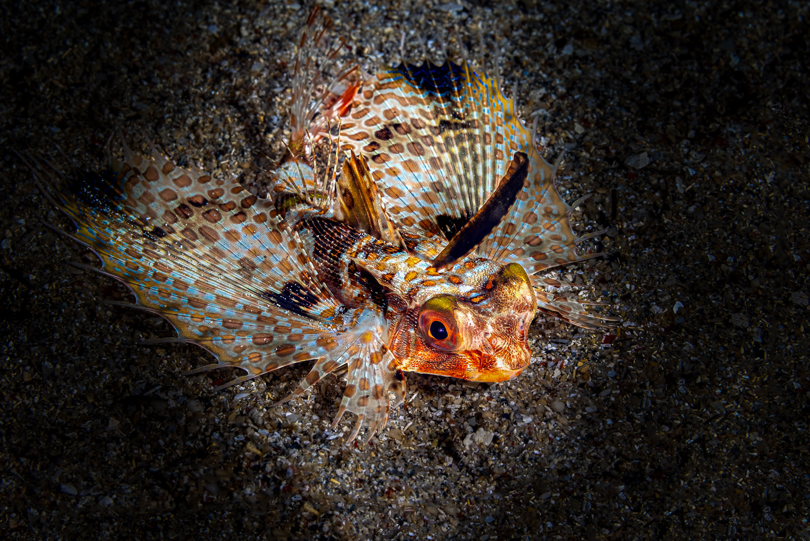 Bunaken