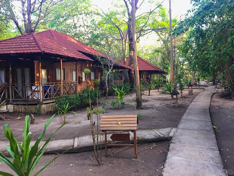 A red-roofed cottage among palms and shrubs, a swept path and a bench in front of it