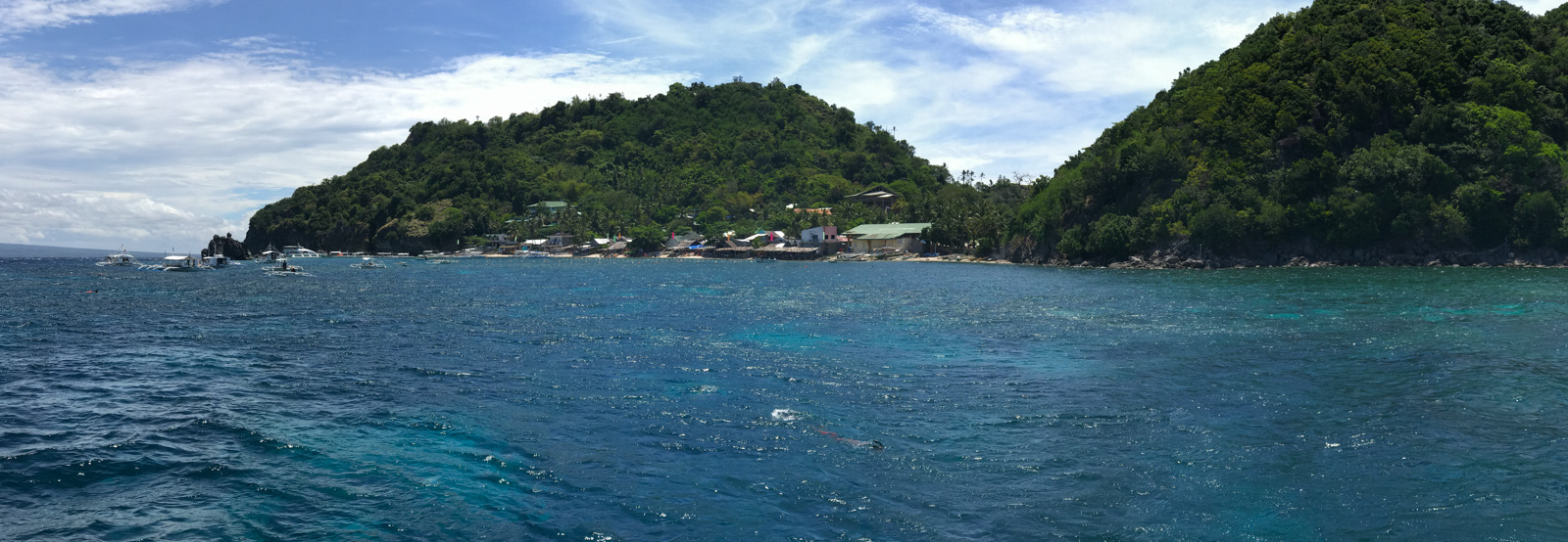 The coast from the water, the dive centre and its boats gathered in the bay under a wooded headland.