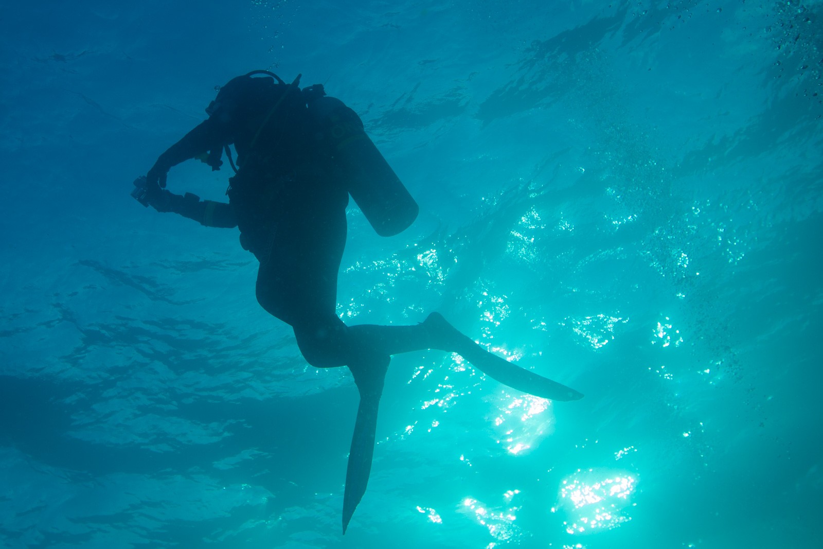 Diver silhouette in surface light, Galápagos