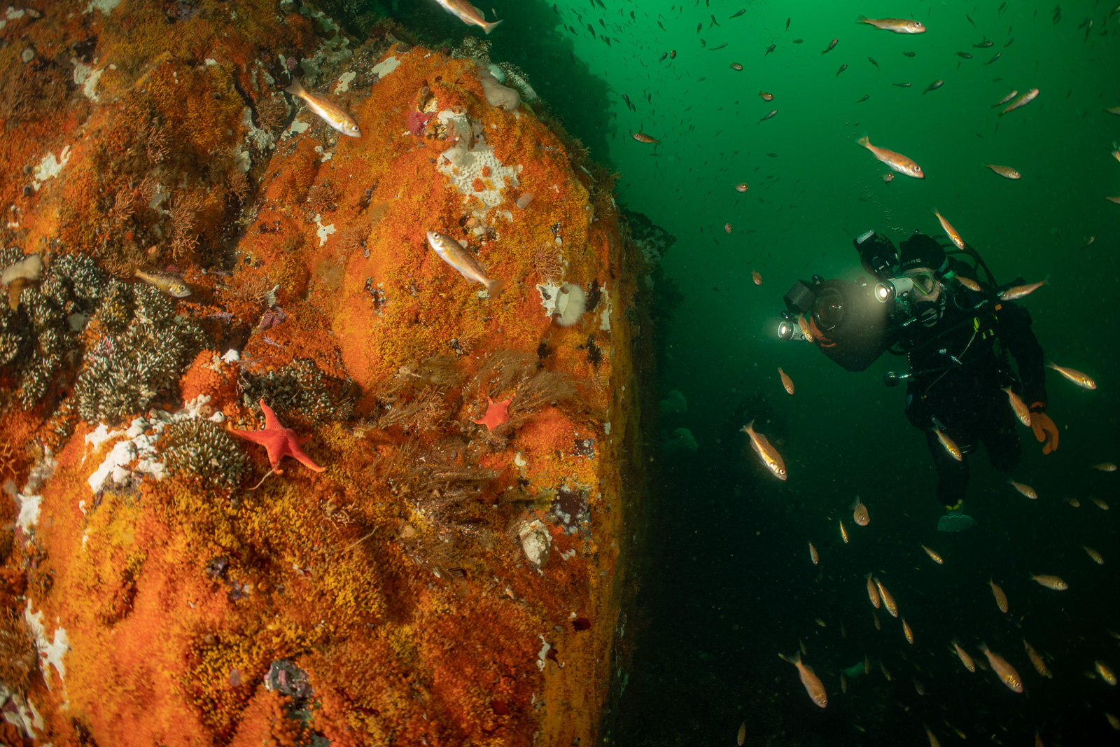 Diver beside an orange wall, God's Pocket