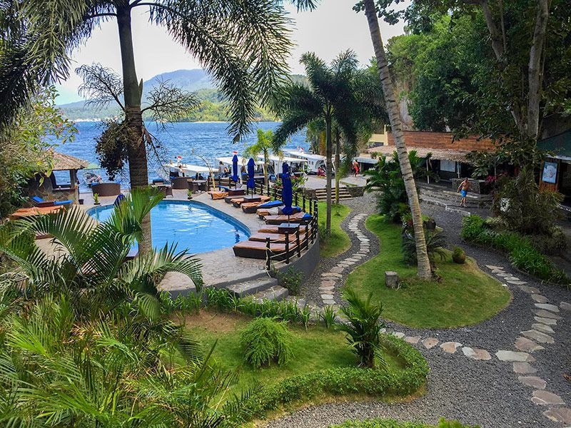 A swimming pool with blue loungers around it, planted gardens and a path running down through them