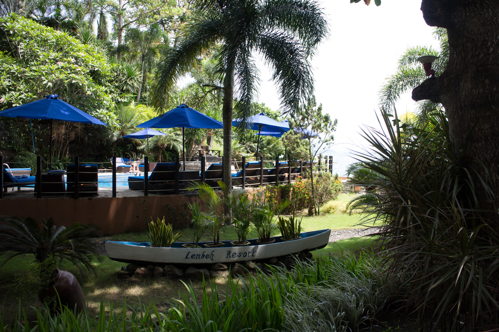 The garden between the rooms and the pool, blue parasols along the water and a painted wooden boat set among the planting.