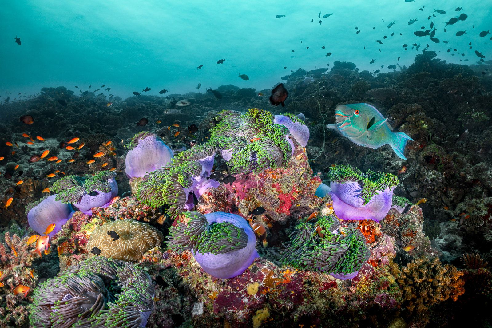 Central Atolls, Maldives