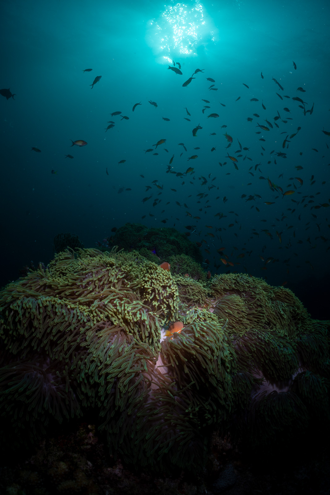 Central Atolls