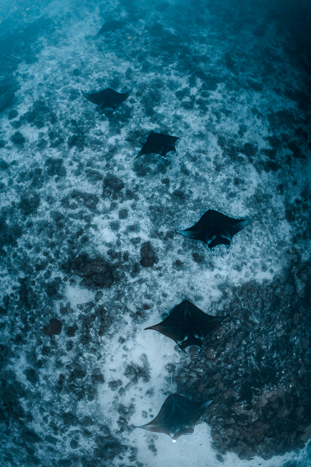 Central Atolls