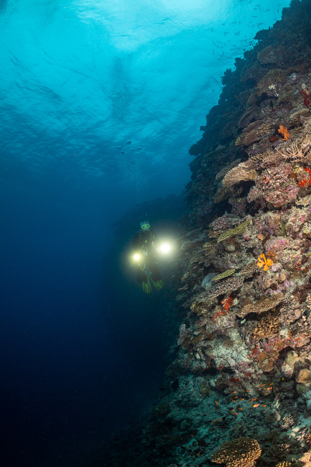 Central Atolls