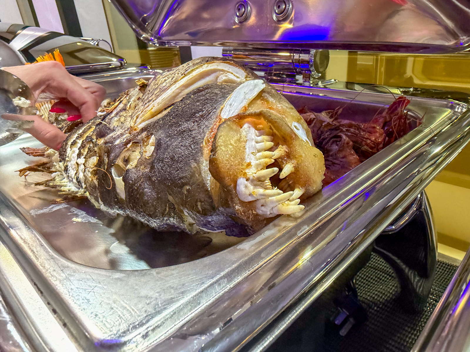 A whole baked fish in a chafing dish on the buffet, being served out.