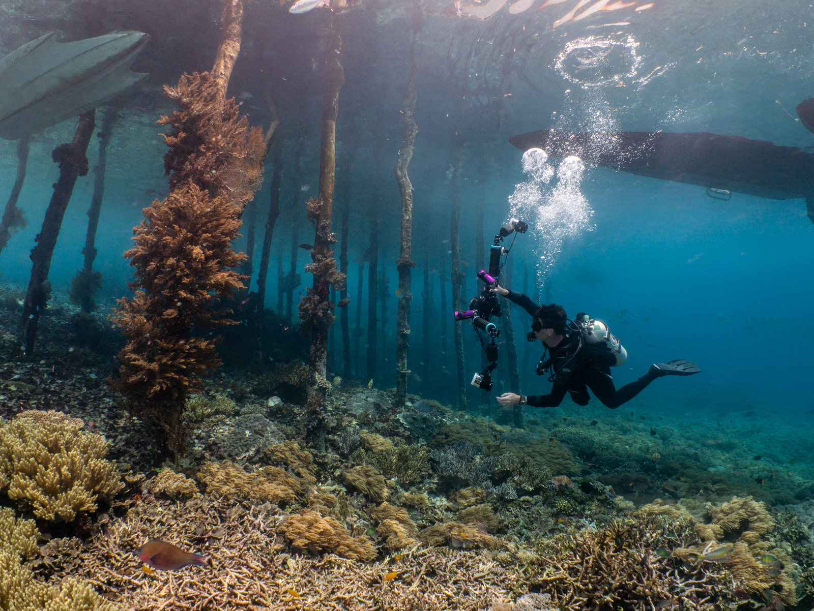 Miles under a jetty, soft coral growing up the pilings, a boat hull on the surface above and a second diver out in the blue