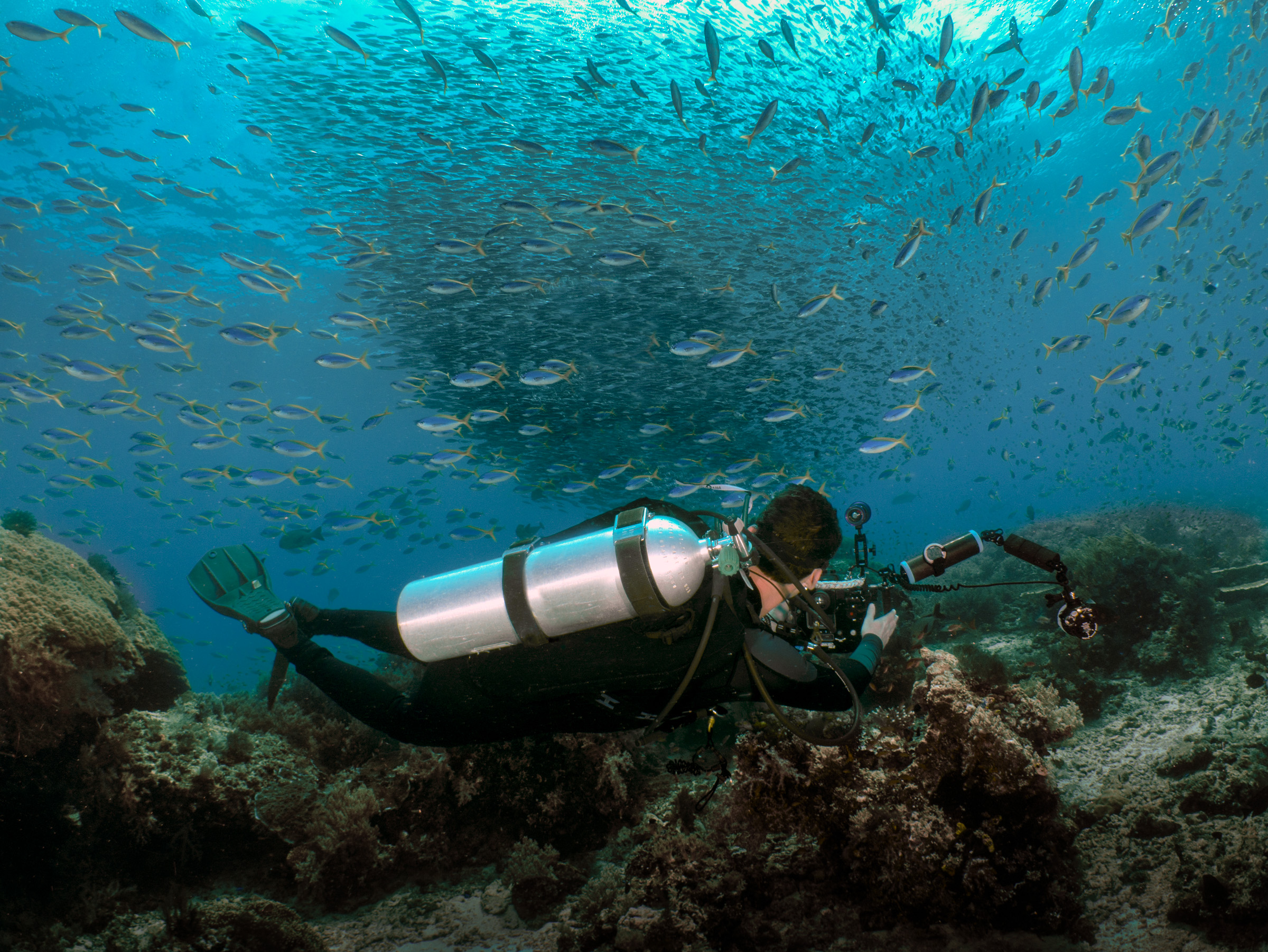 Miles Nurse underwater in Raja Ampat