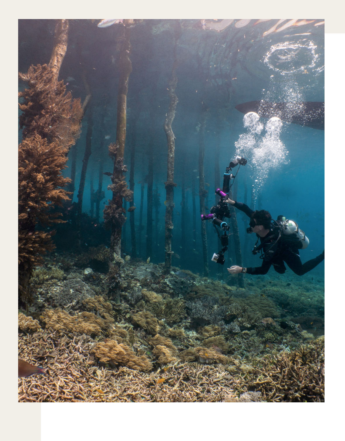 Miles Nurse diving with camera and strobes among the jetty pilings, Sauwandarek, Dampier Strait