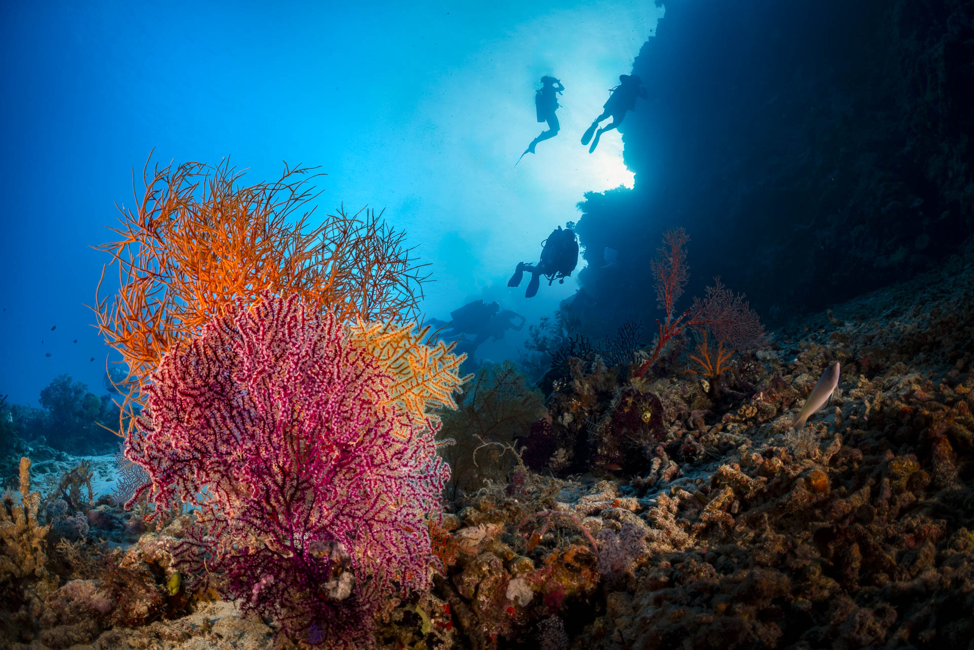 Misool, Southern Raja Ampat, Indonesia