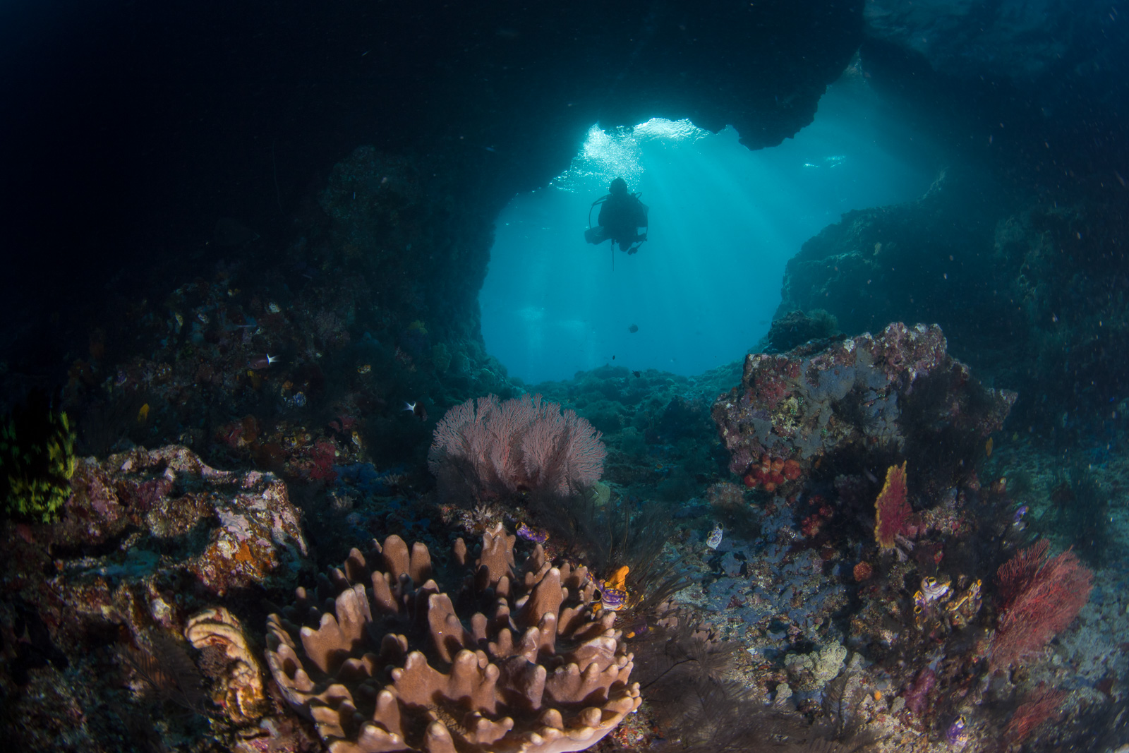 Cave window with a diver, Misool