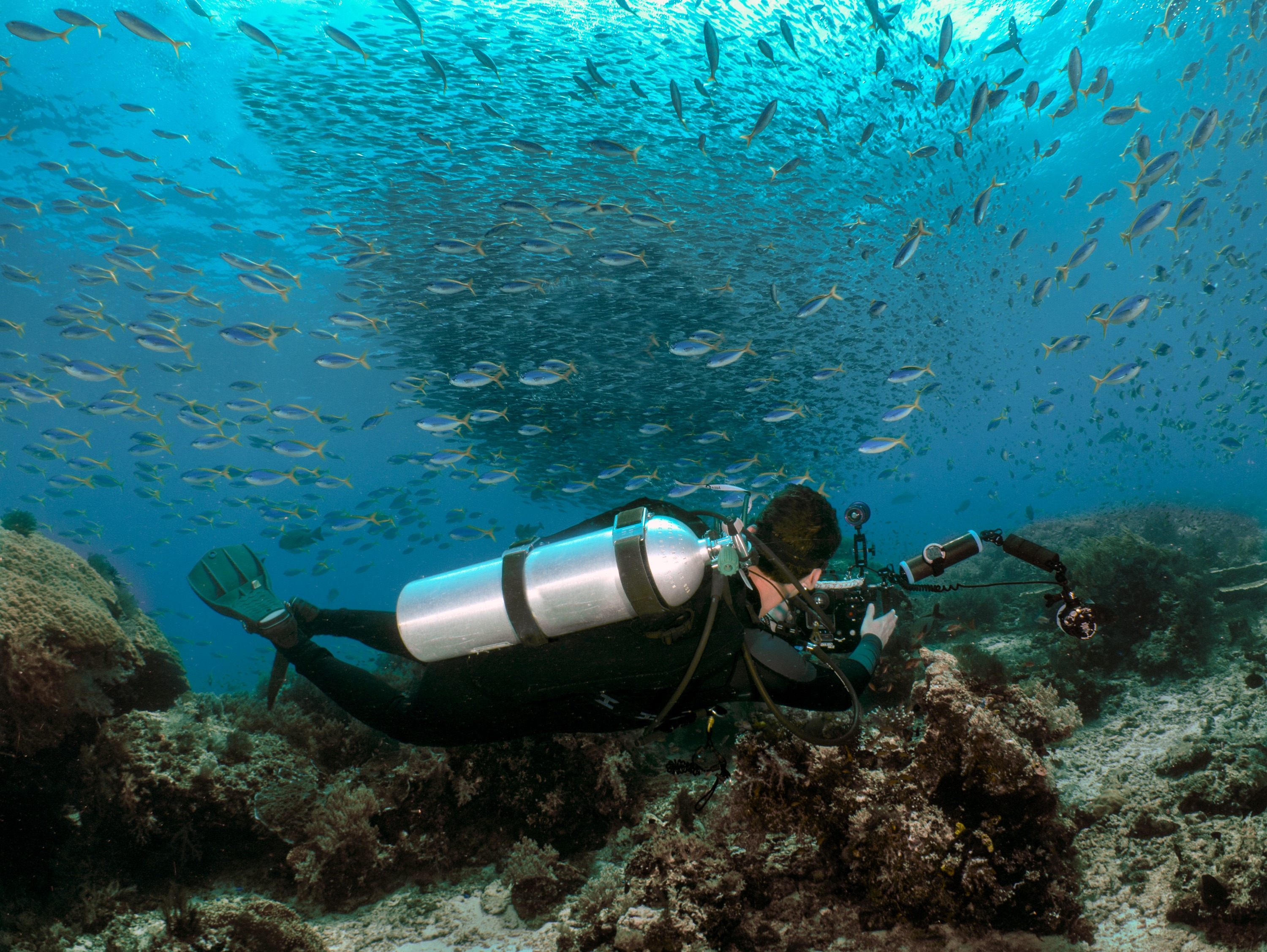 A diver working a reef edge under a school of fusiliers, twin strobes out wide, the Dampier Strait