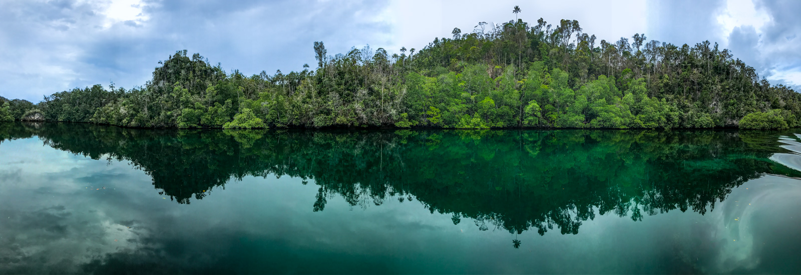 A wooded limestone island doubled in flat water, the reef showing pale under the surface along its edge.