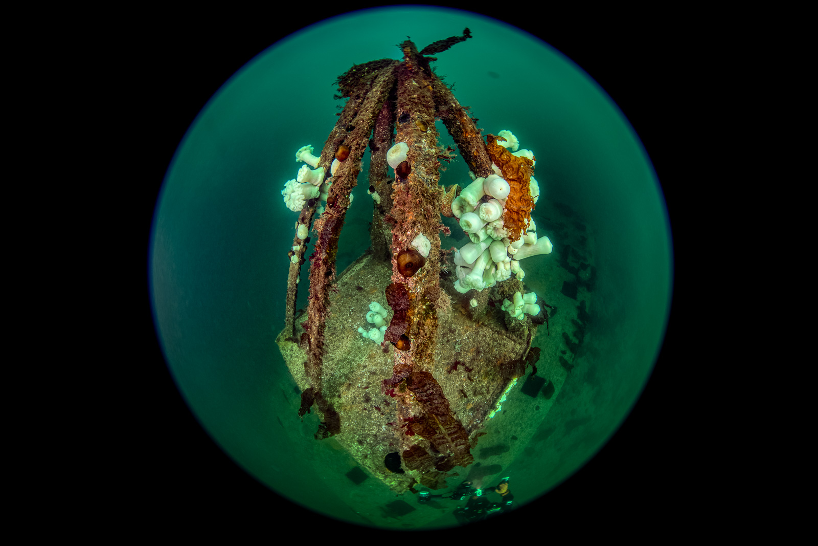 A wreck through a fisheye, Howe Sound