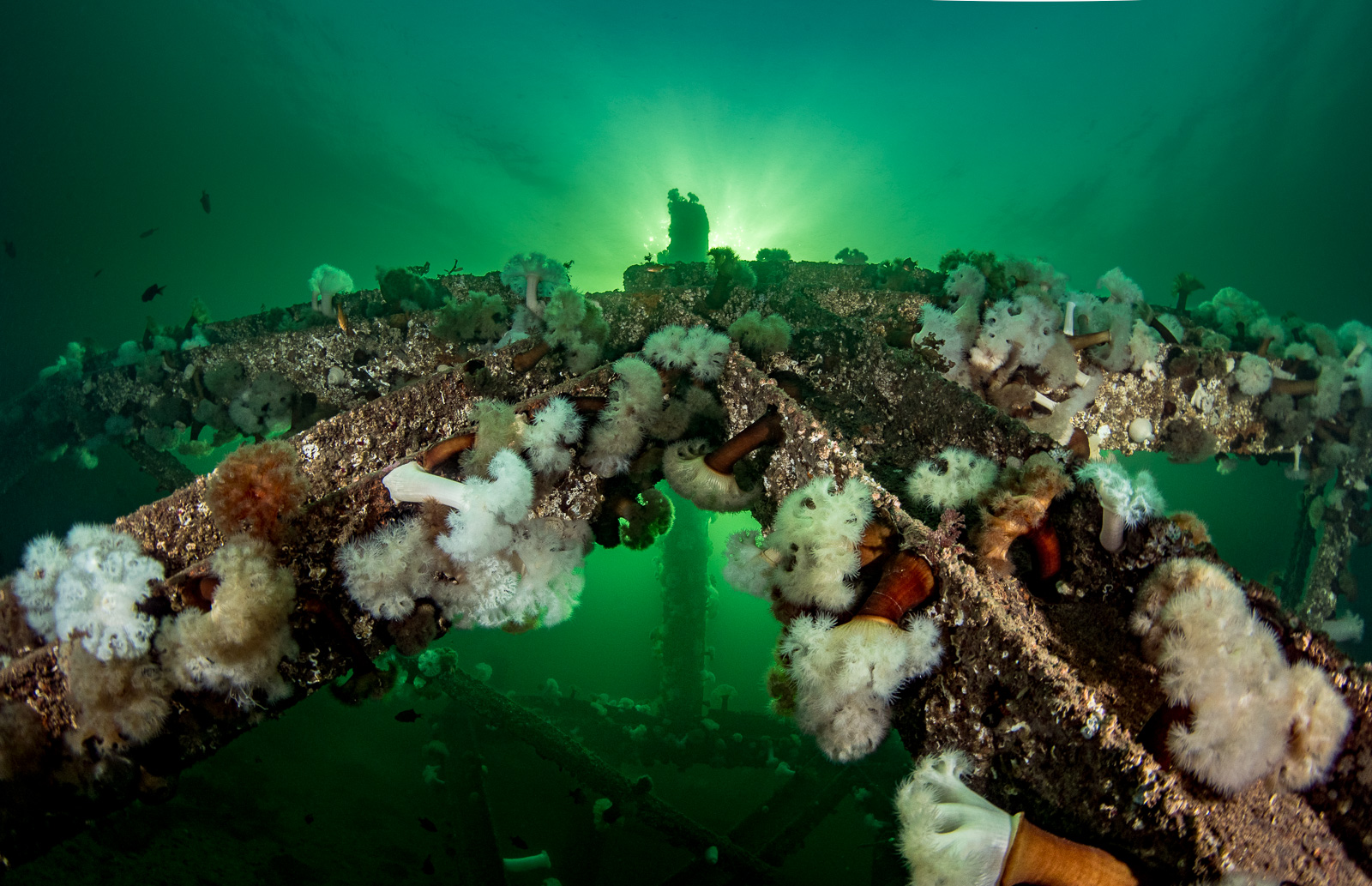 A wreck, Howe Sound
