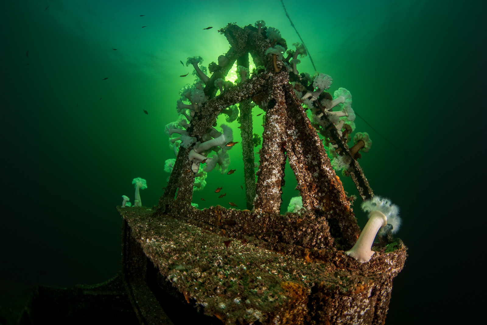 A wreck in green water, Howe Sound