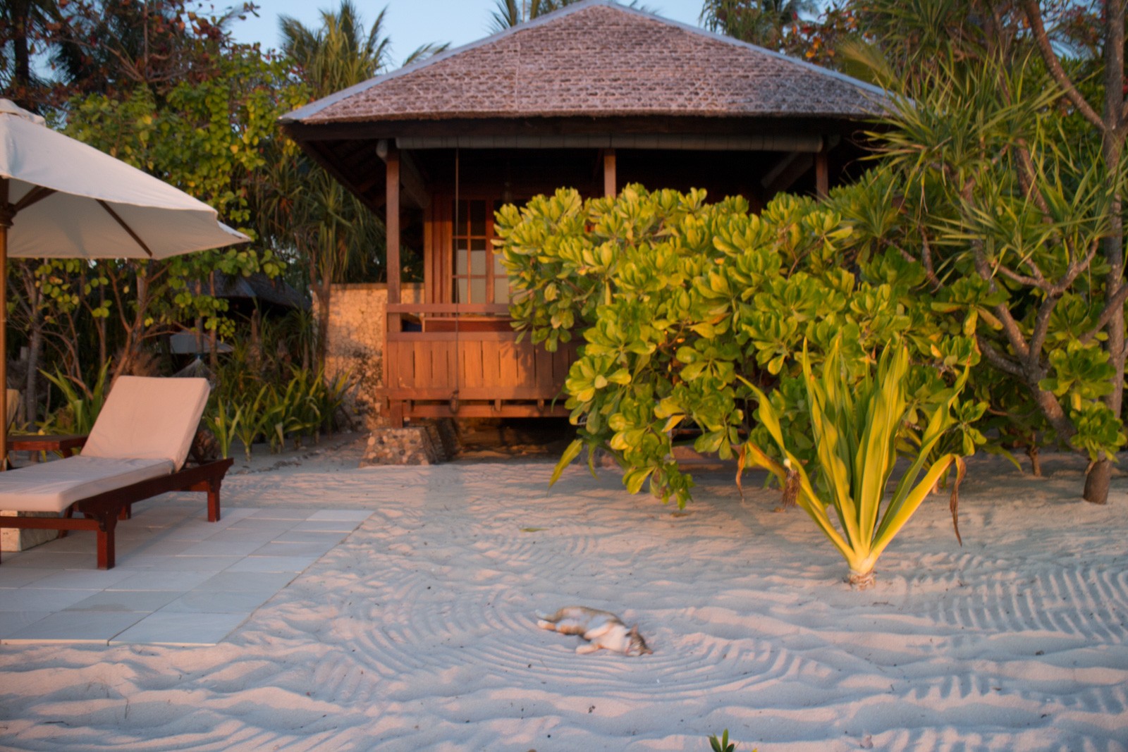 A thatched bungalow with a lounger on the sand outside, planting either side and low evening light